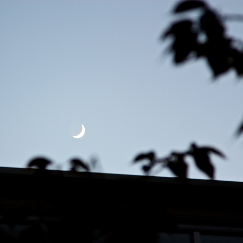 IMG_9314 - バージョン 2.JPG